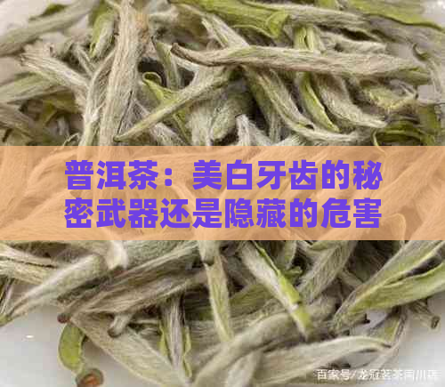 普洱茶：美白牙齿的秘密武器还是隐藏的危害？