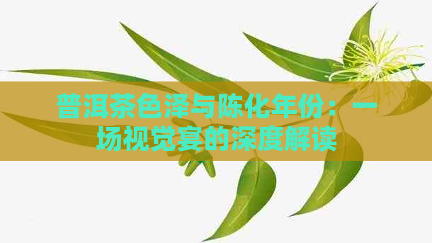 普洱茶色泽与陈化年份：一场视觉宴的深度解读