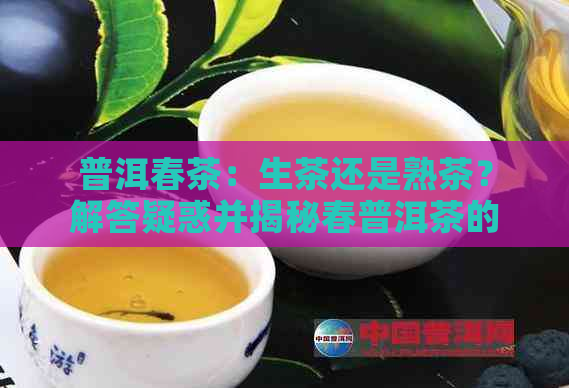 普洱春茶：生茶还是熟茶？解答疑惑并揭秘春普洱茶的含义