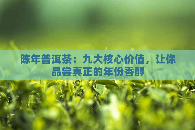 陈年普洱茶：九大核心价值，让你品尝真正的年份香醇