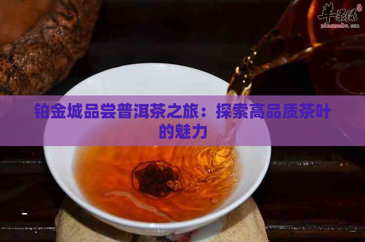 铂金城品尝普洱茶之旅：探索高品质茶叶的魅力