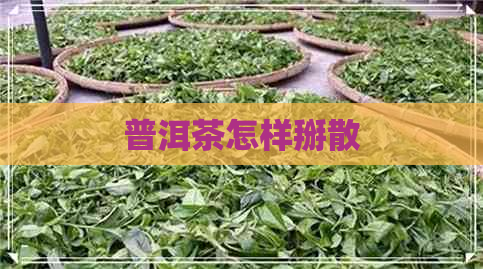 普洱茶怎样掰散