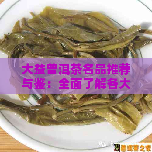 大益普洱茶名品推荐与鉴：全面了解各大系列及特色产品