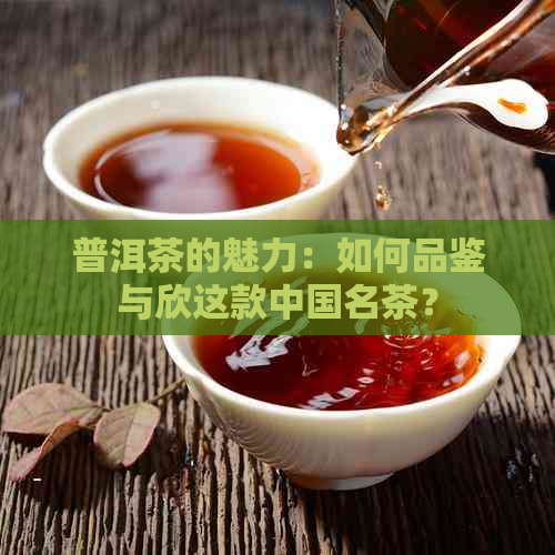 普洱茶的魅力：如何品鉴与欣这款中国名茶？