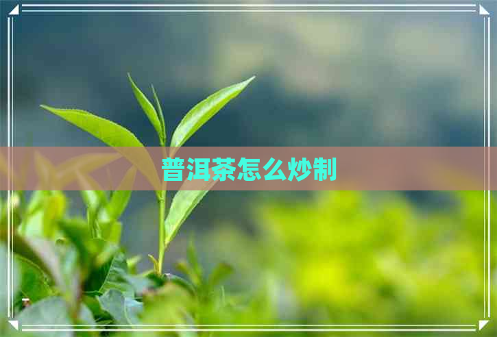 普洱茶怎么炒制