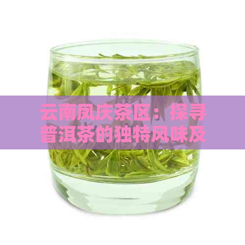 云南凤庆茶区：探寻普洱茶的独特风味及其文化背景