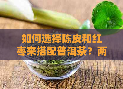 如何选择陈皮和红枣来搭配普洱茶？两者的特性与效果对比分析