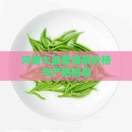 河源大益普洱茶价格与产地信息