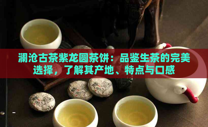 澜沧古茶紫龙圆茶饼：品鉴生茶的完美选择，了解其产地、特点与口感