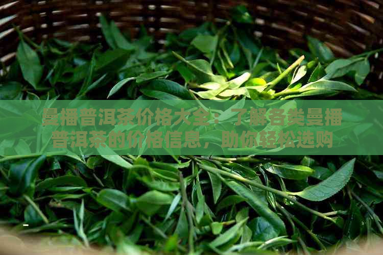 曼播普洱茶价格大全：了解各类曼播普洱茶的价格信息，助你轻松选购