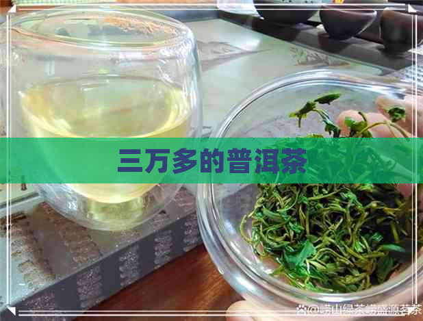 三万多的普洱茶