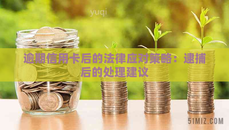 逾期信用卡后的法律应对策略：逮捕后的处理建议