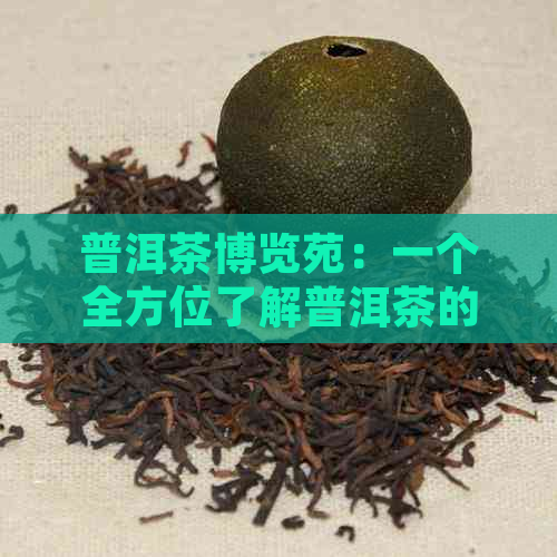 普洱茶博览苑：一个全方位了解普洱茶的胜地