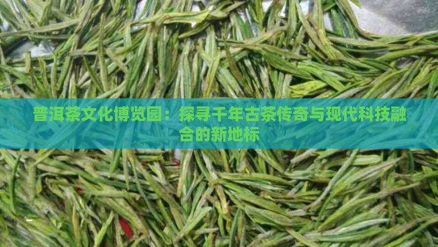 普洱茶文化博览园：探寻千年古茶传奇与现代科技融合的新地标