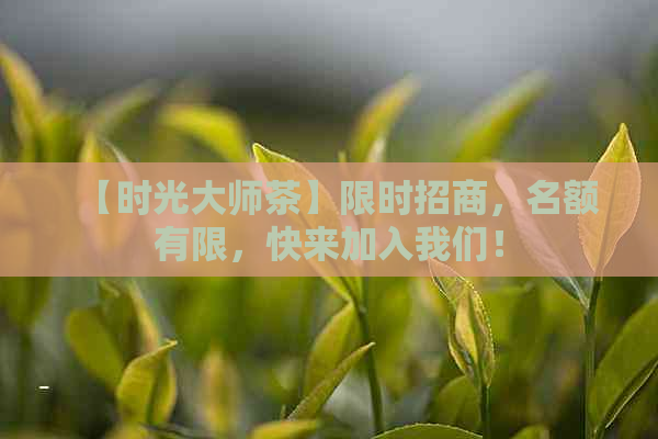 【时光大师茶】限时招商，名额有限，快来加入我们！