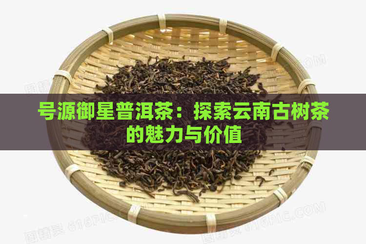 号源御星普洱茶：探索云南古树茶的魅力与价值