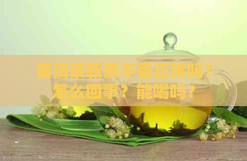 普洱茶新茶不香正常吗？怎么回事？能喝吗？