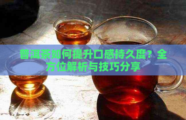 普洱茶如何提升口感持久度？全方位解析与技巧分享