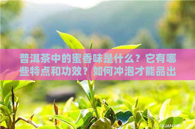 普洱茶中的蜜香味是什么？它有哪些特点和功效？如何冲泡才能品出口感？