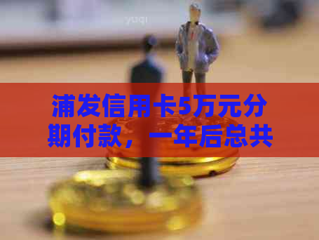 浦发信用卡5万元分期付款，一年后总共需要还款多少？