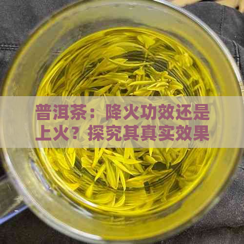 普洱茶：降火功效还是上火？探究其真实效果与适用人群