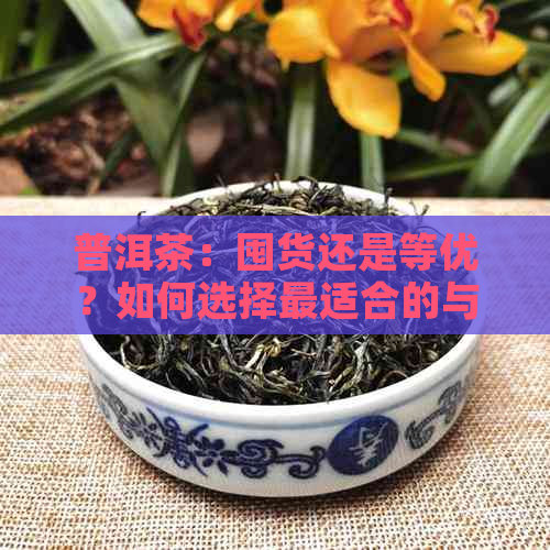 普洱茶：囤货还是等优？如何选择最适合的与时间？