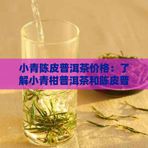 小青陈皮普洱茶价格：了解小青柑普洱茶和陈皮普洱茶的区别与功效