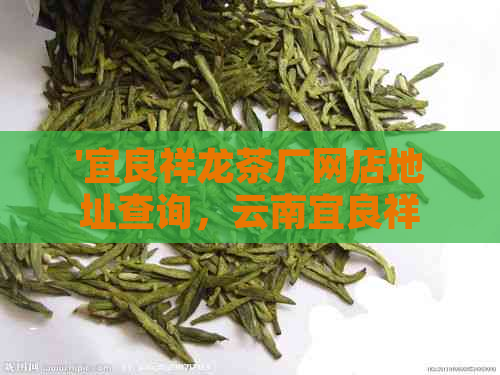 '宜良祥龙茶厂网店地址查询，云南宜良祥龙茶厂怎么样，茶叶品质如何？'