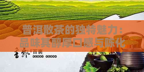 普洱散茶的独特魅力：品味其醇厚口感与陈化潜力