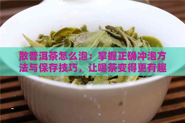 散普洱茶怎么泡：掌握正确冲泡方法与保存技巧，让喝茶变得更有趣！