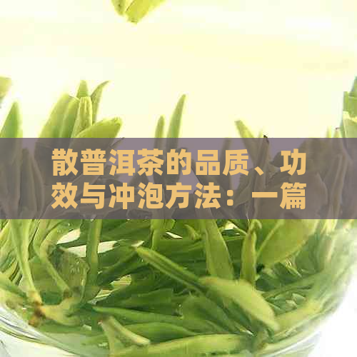 散普洱茶的品质、功效与冲泡方法：一篇全面的指南