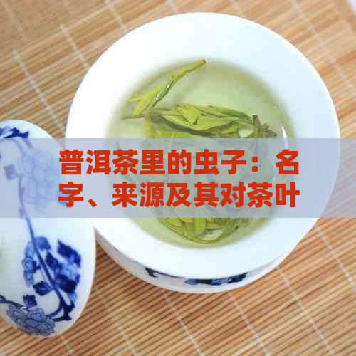 普洱茶里的虫子：名字、来源及其对茶叶的影响