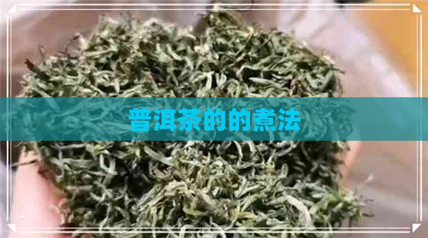 普洱茶的的煮法