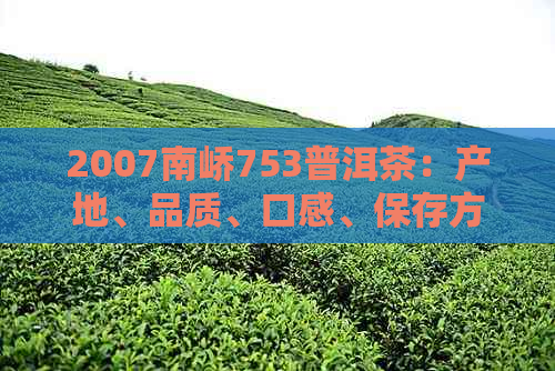 2007南峤753普洱茶：产地、品质、口感、保存方法与品饮技巧全面解析