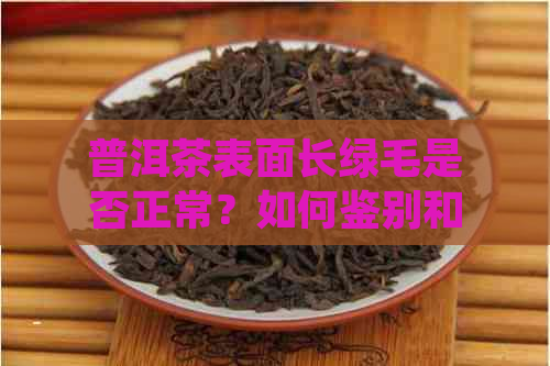 普洱茶表面长绿毛是否正常？如何鉴别和处理？