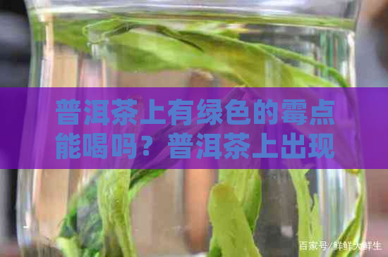 普洱茶上有绿色的霉点能喝吗？普洱茶上出现绿色霉菌正常吗？