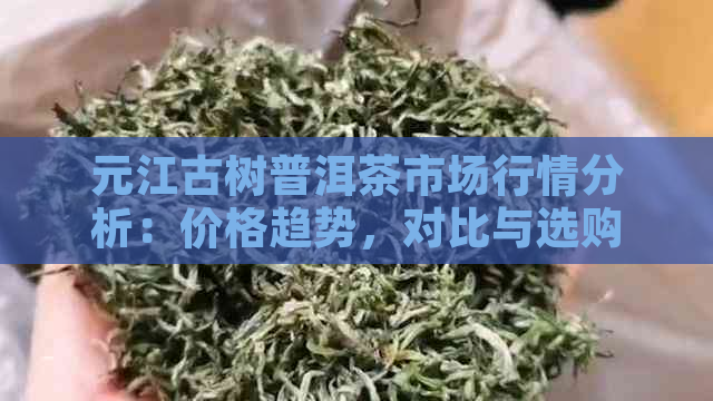 元江古树普洱茶市场行情分析：价格趋势，对比与选购指南