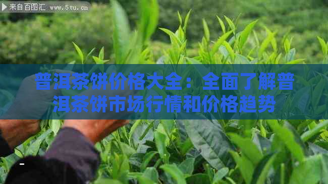 普洱茶饼价格大全：全面了解普洱茶饼市场行情和价格趋势