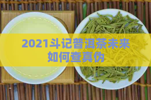 2021斗记普洱茶未来如何查真伪