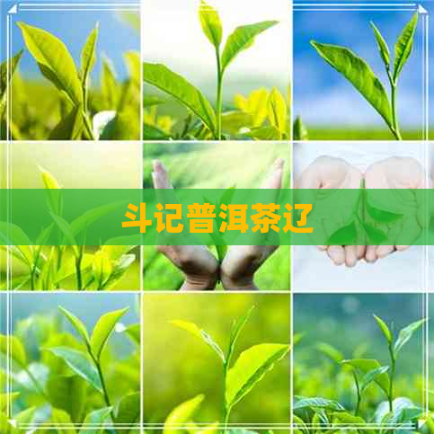 斗记普洱茶辽