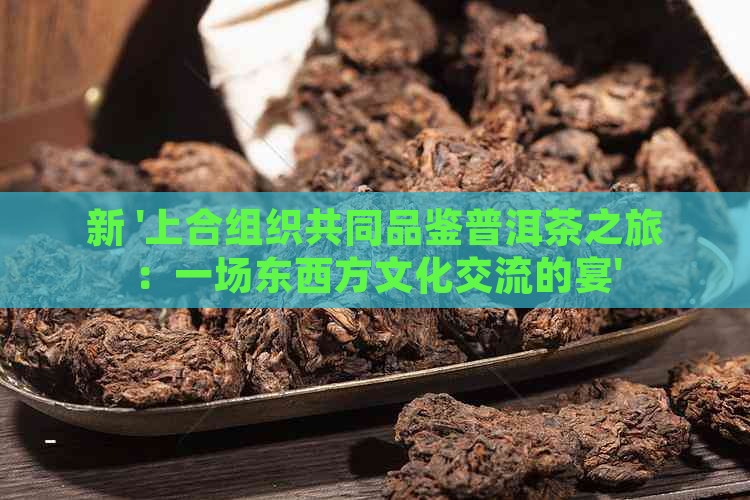 新 '上合组织共同品鉴普洱茶之旅：一场东西方文化交流的宴'