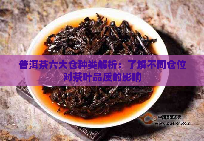 普洱茶六大仓种类解析：了解不同仓位对茶叶品质的影响