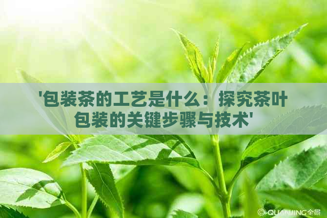 '包装茶的工艺是什么：探究茶叶包装的关键步骤与技术'