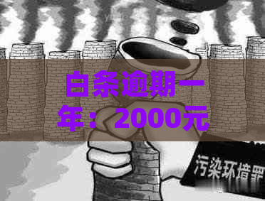 白条逾期一年：2000元的还款困境与解决方案