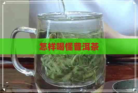 怎样喝懂普洱茶