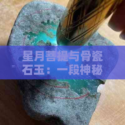 星月菩提与骨瓷石玉：一段神秘的材料对比之旅