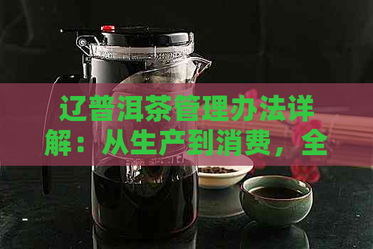 辽普洱茶管理办法详解：从生产到消费，全方位了解普洱茶的管理与品鉴