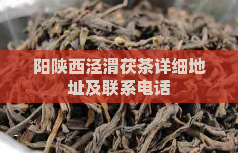 阳陕西泾渭茯茶详细地址及联系电话