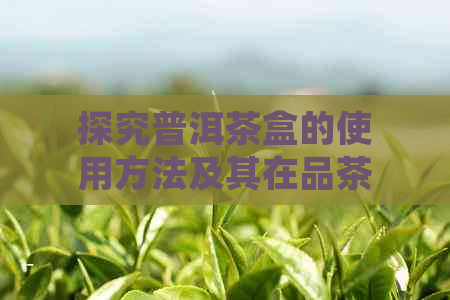 探究普洱茶盒的使用方法及其在品茶过程中的重要角色