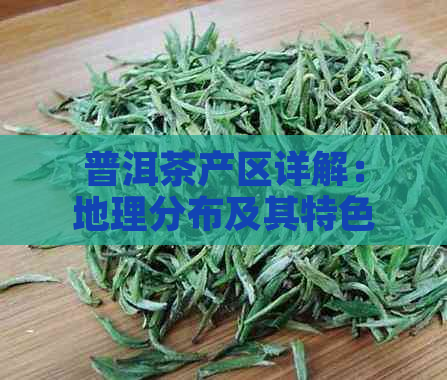 普洱茶产区详解：地理分布及其特色茶叶品种分析